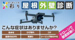 ドローン現調について